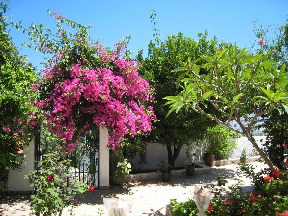 Eleftheria Lindian Studios I Lindos  Luaran gambar